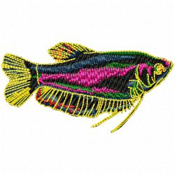 Fishes Embroidery Design 11 Fishes Embroidery Design 11